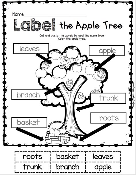 Labeling Kindergarten Label The Apple Tree Worksheet Literacy