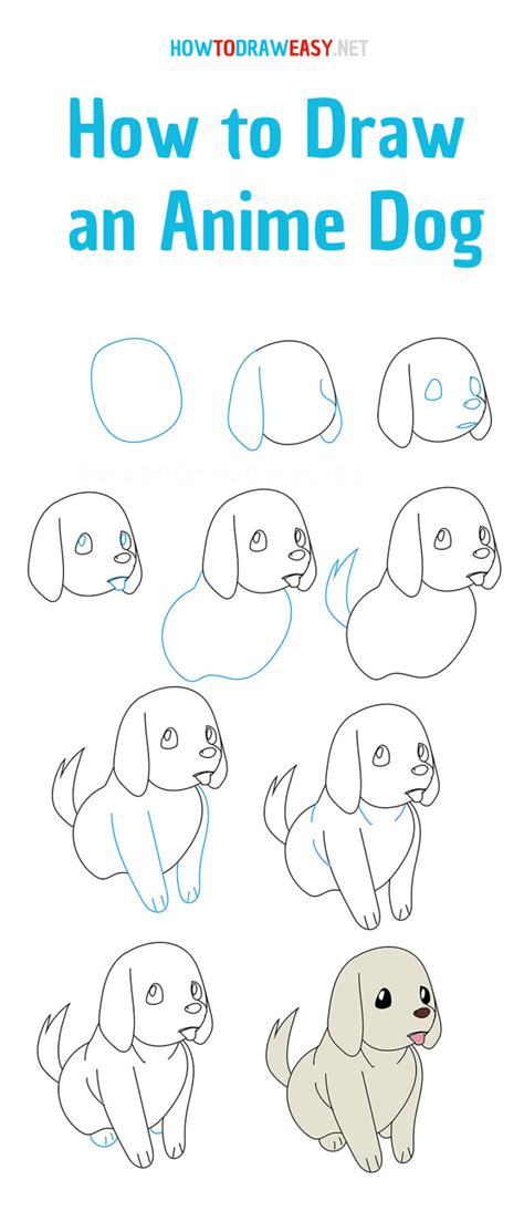 Hvordan Man Tegner En Anime Hund Hvordan Man Tegner Let Les Perrieres