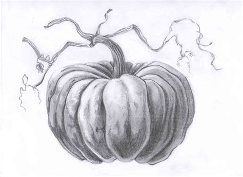 Pumpkin Drawing Easy Realistic Dong Hallman