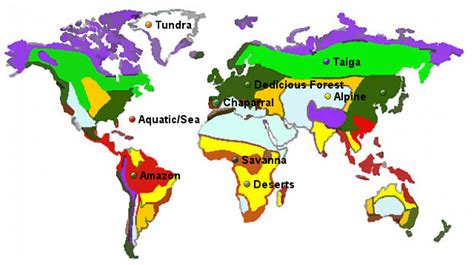 Stepmap World Biomes Map Landkarte Für World
