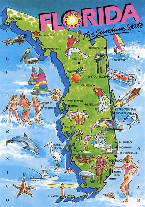 Florida Fun Cruise And Travel