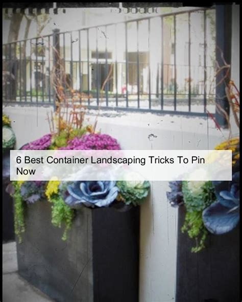 Container Landscaping With Succulents Container Landscape Plans