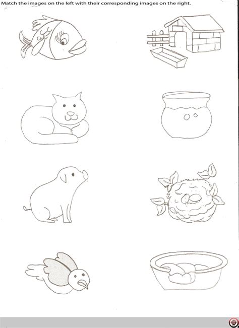 Animals And Their Homes Worksheet