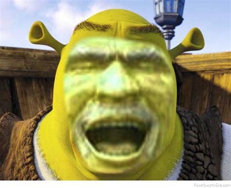 28 Best Ideas For Coloring Shrek Face Swap