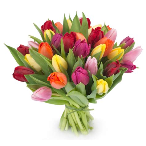Fiori per compleanno in indonesia: Bouquet di tulipani - Fiori online, vendita e consegna ...