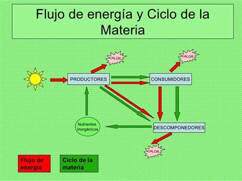 El Ciclo De La Materia Y La Energia Compartir Materiales
