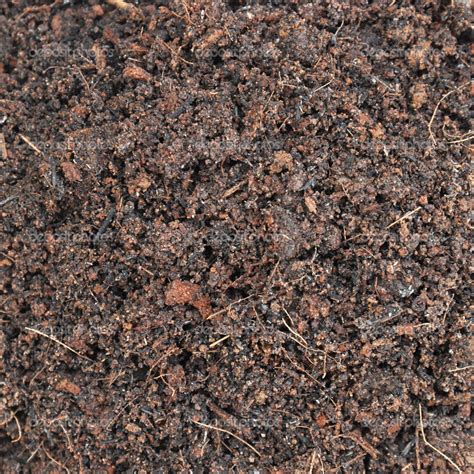 Dark Soil Texture — Stock Photo © Kritchanut 44530865