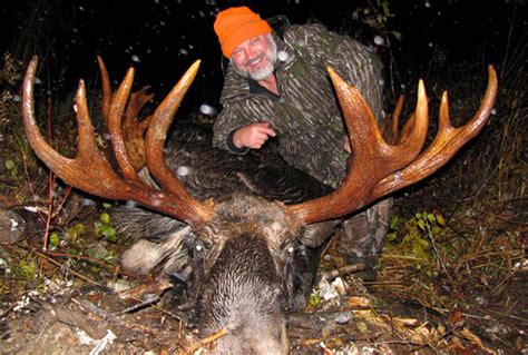 Maine Moose Hunt Fully Guided Jackman Maine Moose Permit Hunting Zone 8