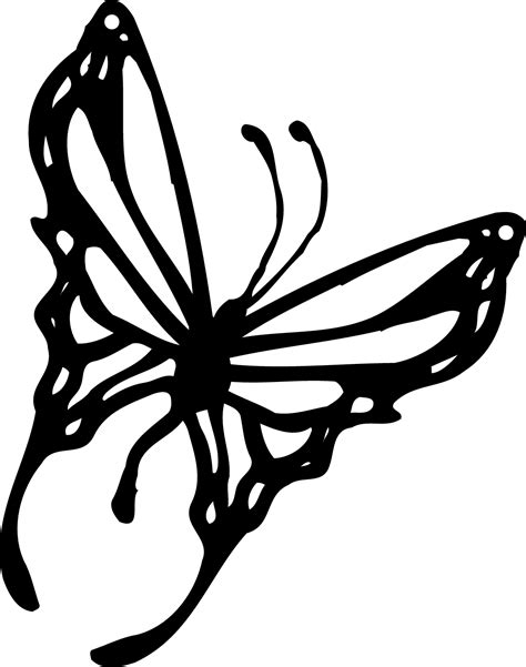 Free Butterfly Outline Clipart Download Free Butterfly Outline Clipart