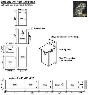 Screech owls are typical owls (strigidae) belonging to the genus megascops, with 23 living species known at present, but new ones are frequently recognized and unknown ones are still being discovered on a regular basis, especially in the andes. Owl box: Birding blog: Building a Screech Owl Box | Bird ...