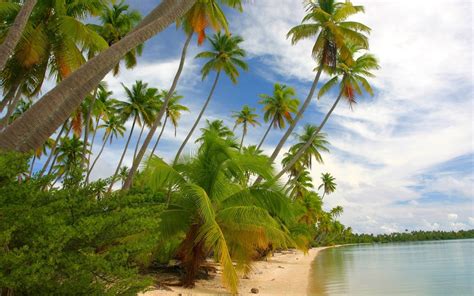 Beach Tropical Summer Sea Nature Island Palm Trees Landscape Clouds