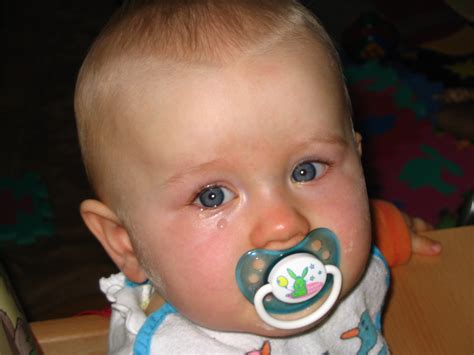 Filecrying Baby 2 Wikimedia Commons