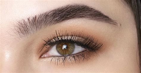 10 Simple Hacks For Thick And Beautiful Eyebrows