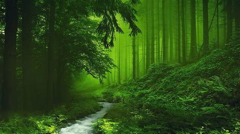 Nature Inspired Wallpaper K Green Nature For Stunning Wallpapers