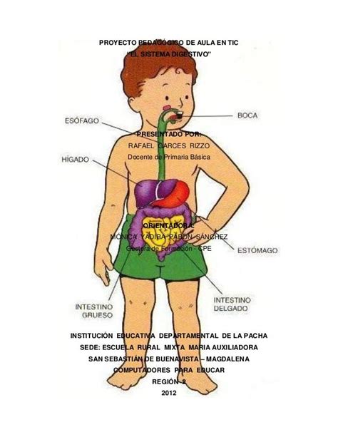 Sistema Digestivo Science Quiz Quizizz