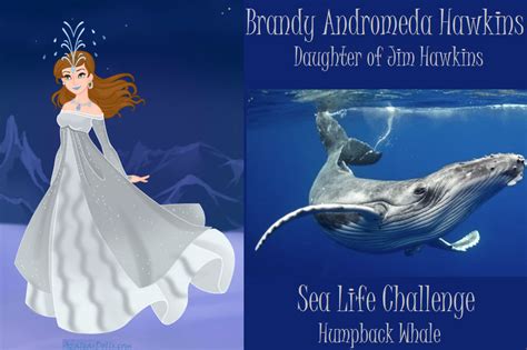 Brandy Hawkins Round 3 Sea Life By Echoesofanenigma On Deviantart