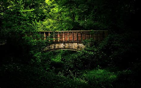 Bridge In Dark Green Forest Green Bridges Dark Nature Forests Hd