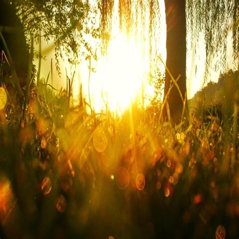 Amazon Csfoto 8 X 8ft背景サンセット景色写真用背景幕抽象sunset Sunrise Halo美しいfall