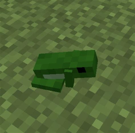 Minecraft Frog Rfrogs