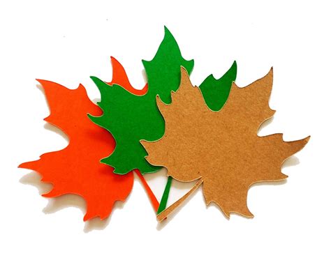 25 Pack Paper Maple Leaf Maple Leaf Shape Leaf Shapes Etsy