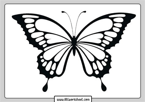 Coloring Butterfly Images