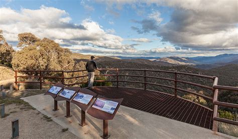 Wallace Craigie Lookout Nsw National Parks