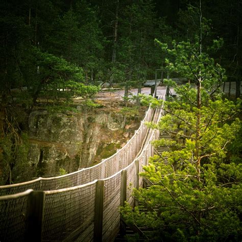 A Beautiful Hanging Bridge In Forest Of Finland Stock Image Colourbox