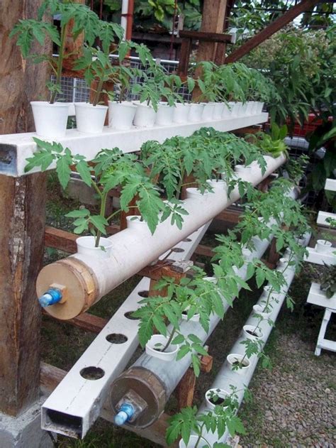 25 Best And Charming Hydroponic Home Garden Design Hydroponic