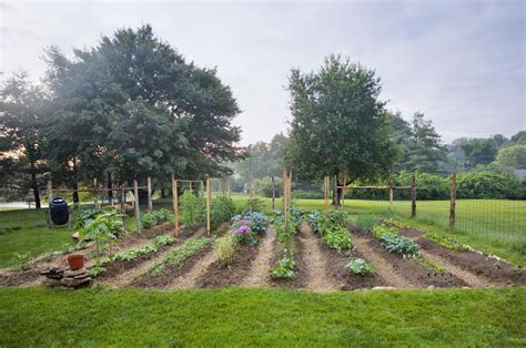 'my father bought ashwood more than 47 years ago, to keep his gardener in a job when my parents moved to a smaller house and garden.' Planning and Starting a Vegetable Garden