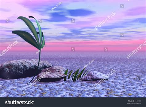 Lilac Sunset Stock Photo 1140794 Shutterstock