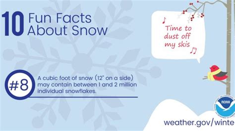 10 Fun Facts About Snow Weathernation
