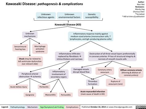 Kawasaki Disease Pathogenesis And Complications Calgary Guide