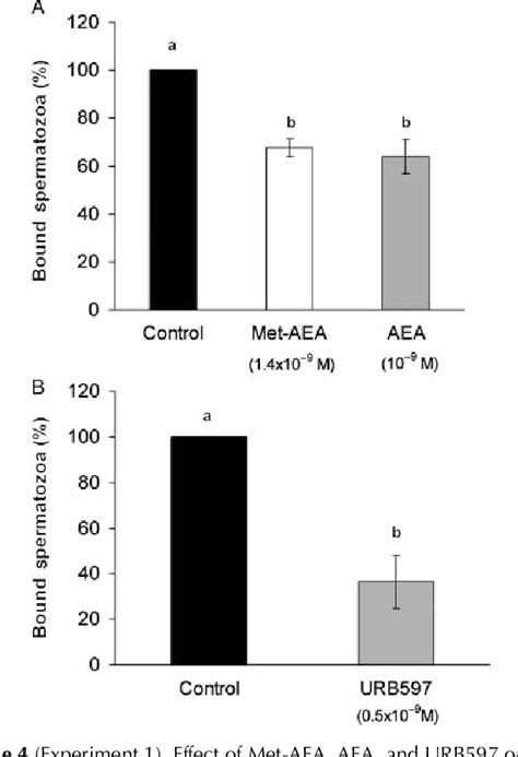 Figure 4 From The Endocannabinoid System In Bull Sperm And Bovine