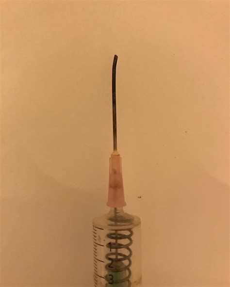 Technique A Little Homemade Tool For Micro Agar Transfer R