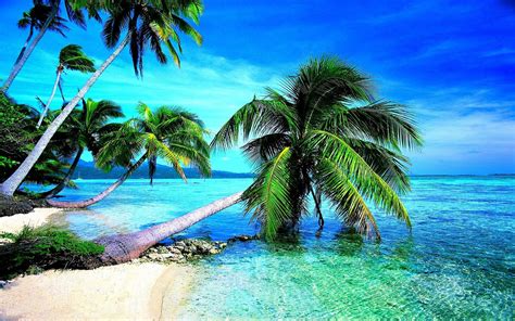 Tropical Beach Paradise Island Wallpapers Wallpaper Cave