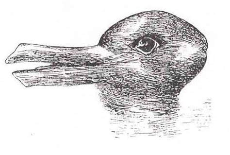 Rabbit Duck Illusion Source Jastrow J 1899 The Minds Eye