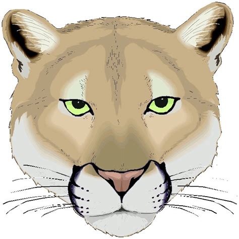 Puma Or Cougar Paw Clipart Clipartix