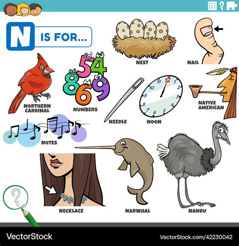 Letter N Words Educational Set With Cartoon Vector Image