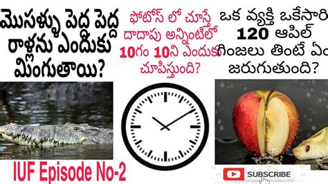 top interesting unknown facts telugu top amazing facts telugu youtube