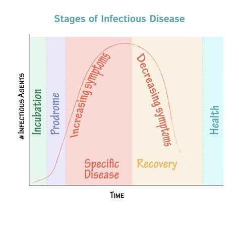 Immunologymicrobiology Glossary Stages Of Infectious Disease Draw