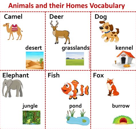 A Z Animals And Their Homes Names In English Vocabularyan