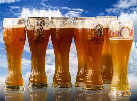 Free Image on Pixabay - Beer, Oktoberfest, Beer Glass | Beer benefits, Beer glass, Beer