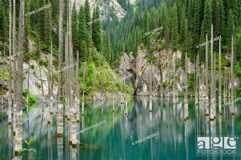 Kaindy Lake Kungey Alatau Kazakhstan Stock Photo Picture And Rights