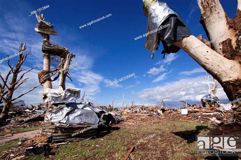 Debris Wrapped Around Debarked Trees After A Tornado In Joplin Missouri May 25 2011 On May 22