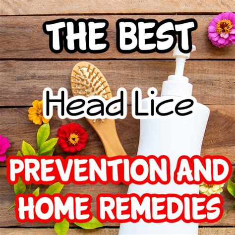 Head Lice Prevention Tips
