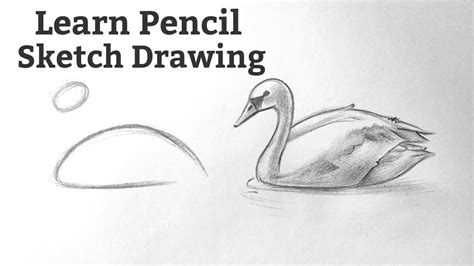 Pencil Drawing Ideas Easy Step By Step Simple Pencil Drawings For