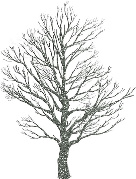 Winter Tree Template Web Looking For Christmas Tree Templates For Your