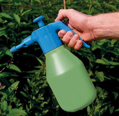 Tipos de insecticidas orgánicos Guía de Jardinería