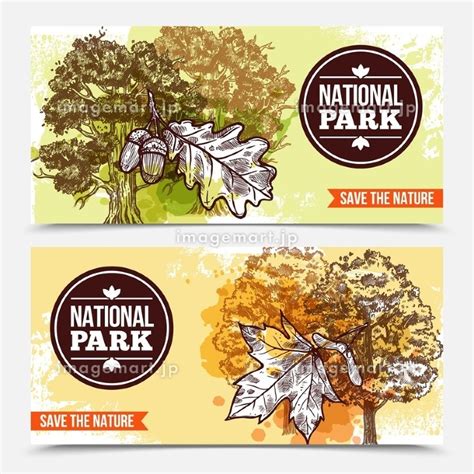 Sketch Tree Banners Horizontal National Park Banners With Sketch