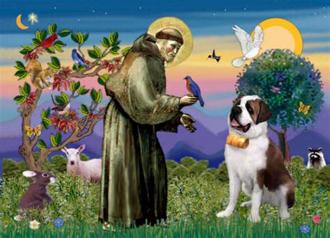 282 x 600 jpeg 33 кб. My Connection to Animals and St. Francis | Practical ...